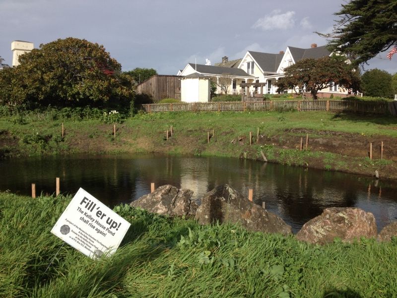 Kelley House Pond Restoration